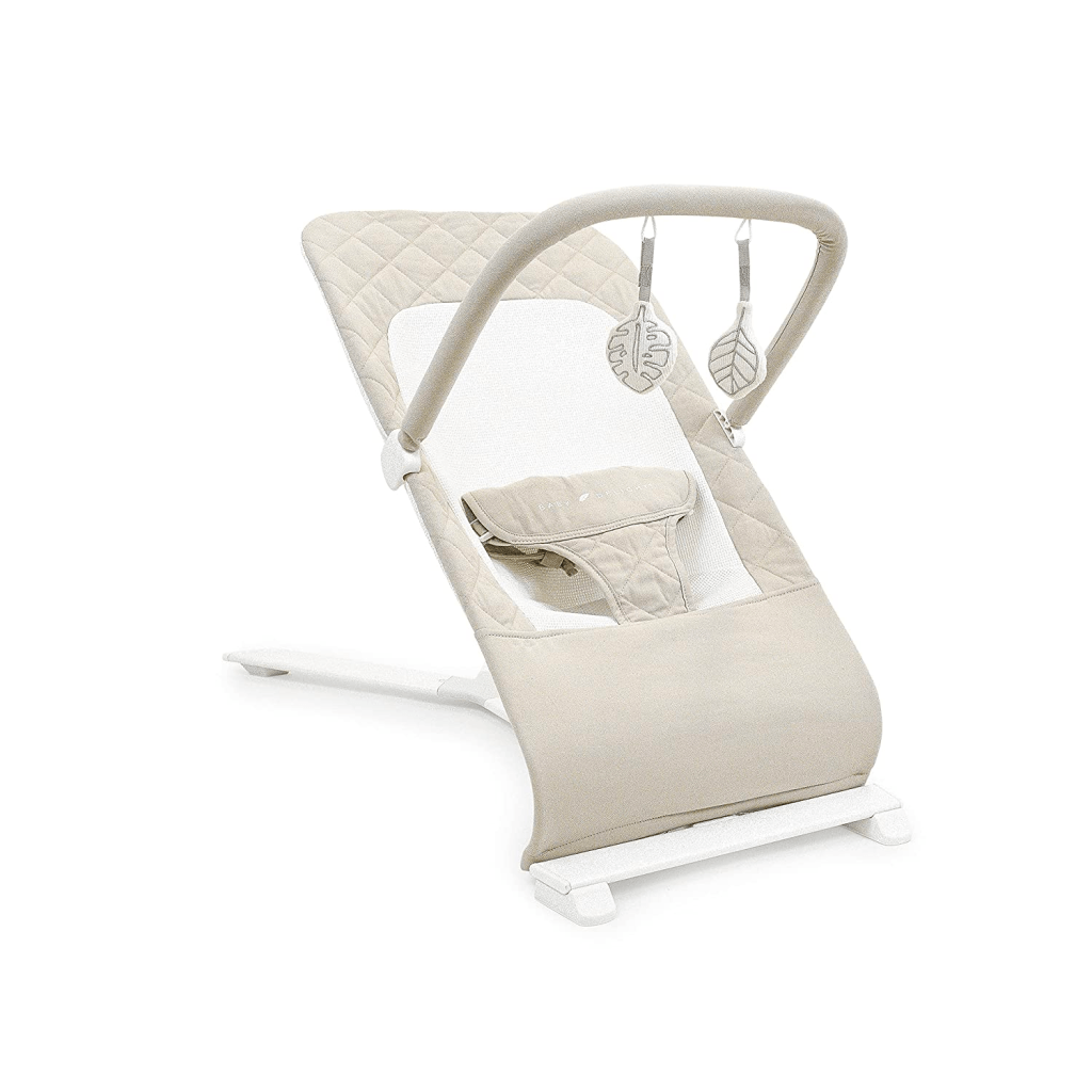 Baby delight bouncy seat
